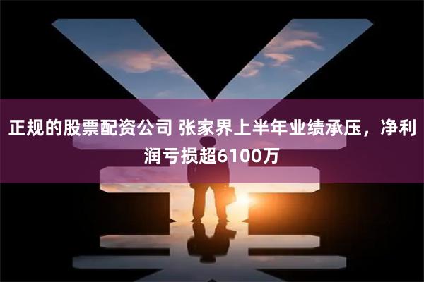 正规的股票配资公司 张家界上半年业绩承压，净利润亏损超6100万