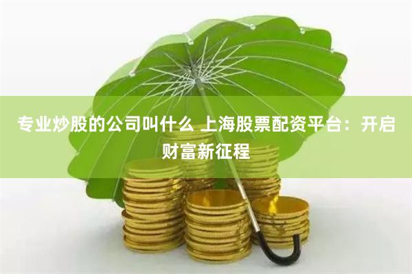 专业炒股的公司叫什么 上海股票配资平台：开启财富新征程