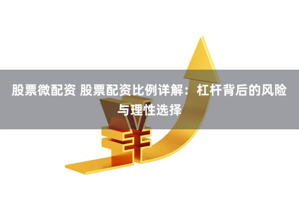 股票微配资 股票配资比例详解:杠杆背后的风险与理性选择